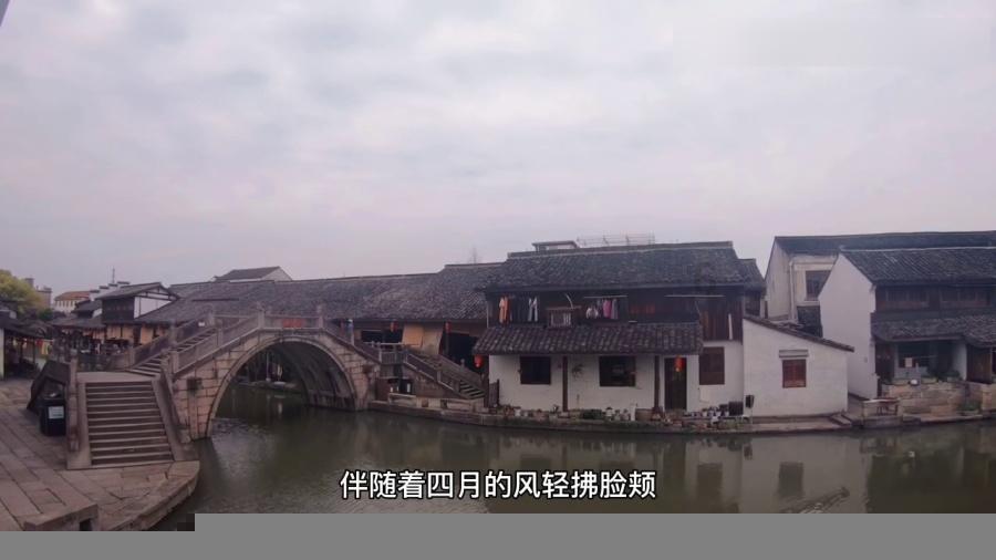 植物大战僵尸19